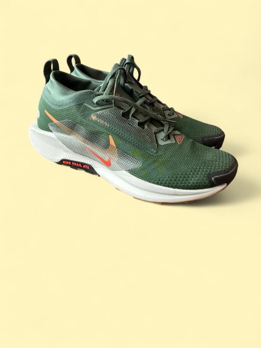 Nike Pegasus Trail 5 GORE-TEX - worn twice